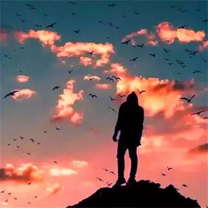 成熟且有自由的头像