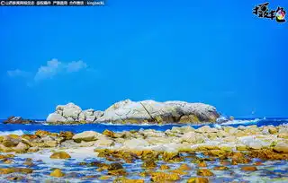 摄艳美女畅游三亚风光享碧海蓝天惬意非凡