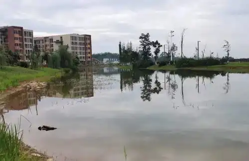 男演员发了组自拍,火了