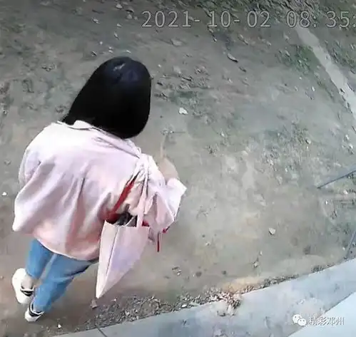 全城急寻邓州17岁女孩离家出走已5天,家人急坏了