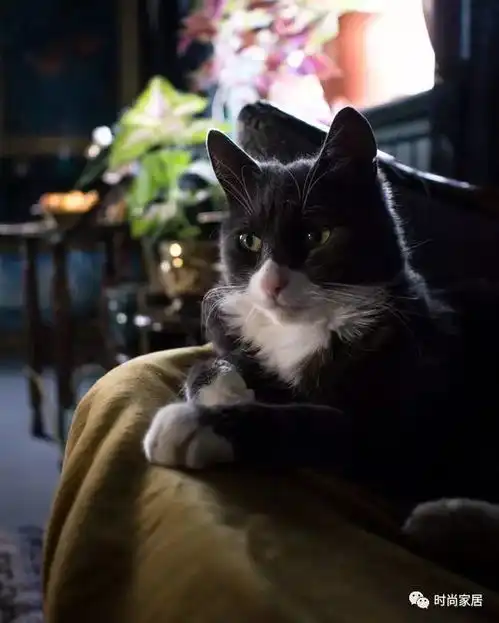 北欧不单只有冷淡风,才华美女的暗黑系小家,神秘而感性