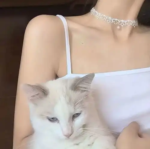 头像十二月换一张新的微信头像吧