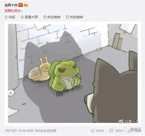 你家青蛙回来了吗从养老公到养儿子旅行青蛙为什么能一夜爆红