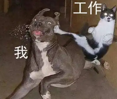 搞笑段子女孩直接说我听介绍人说你条件不错,你能具体说说吗