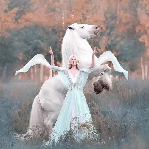 通往童话世界的旅途,有个爱做梦的女孩