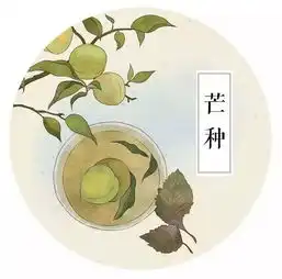 八小节气生活指南芒种
