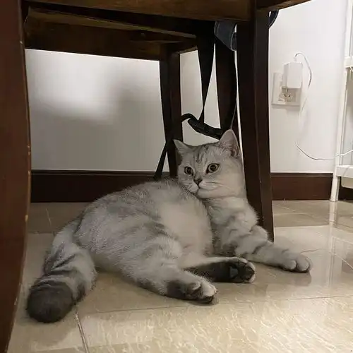 小区合租花语水岸小区三房一厅次卧女生勿扰