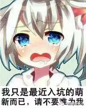 学者头像二次元