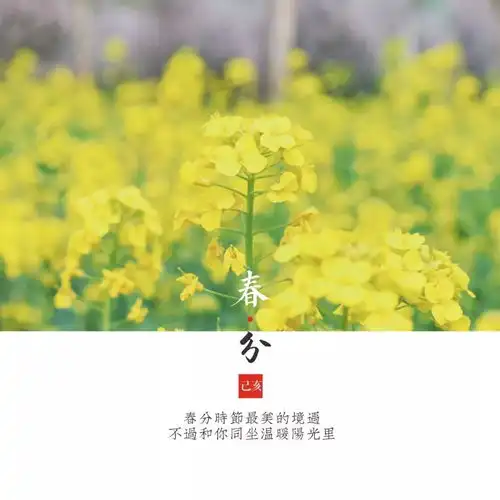 今日春分快来收下这份春日美景