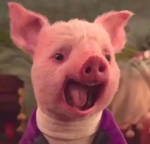 容易招桃花的女生头像