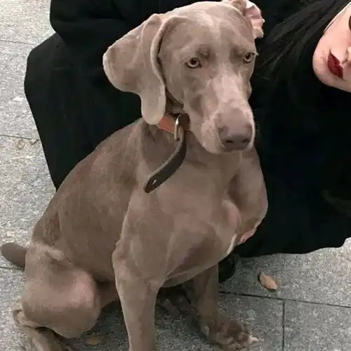 真人情头我总不能站在后来的高度,去批判当年的自己吧