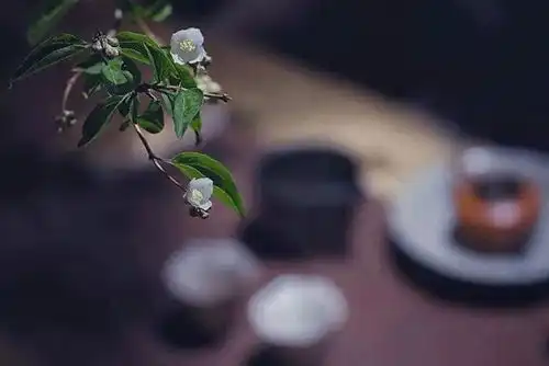 人在有闲的时候,才最像是一个人腾讯新闻