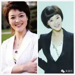 央视整容后最美女主播胡蝶与导演陆川领证