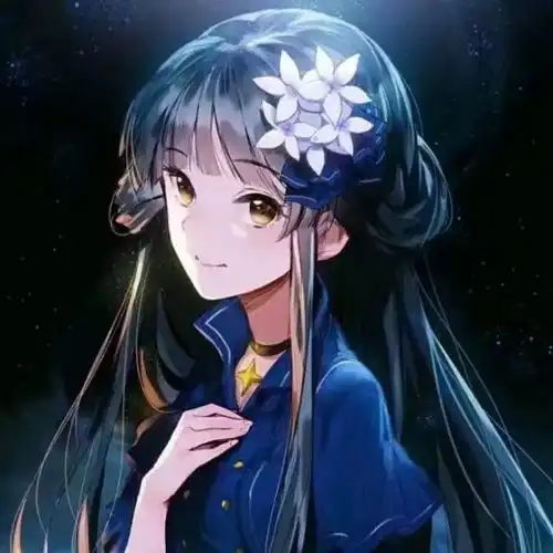 环县吕彩虹雪落无声