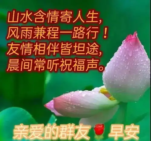 8张很有创意的清晨早安问候祝福图片带字温馨聊天不用打字的祝福图片带字精选