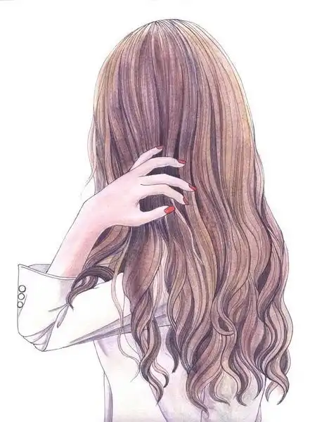 插画头像女生简约气质长