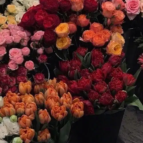 女生最漂亮头像鲜花