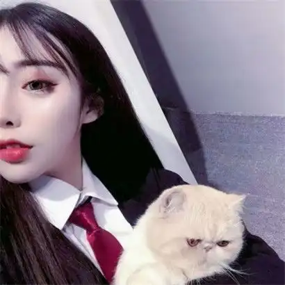 女生抱宠物的微信头像,2020最新高清不用一定可惜了