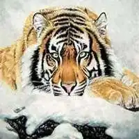 换个能转运的微信头像微信头像图片大全