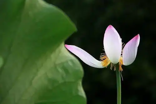 无论任何时候,我们都有机会改变命运