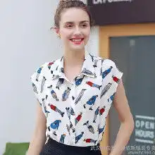 欧美风衬衫女雪纺价格欧美风衬衫女雪纺批发欧美风衬衫女雪纺厂家hc360慧聪网