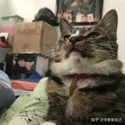 一点资讯yidianzixun.com