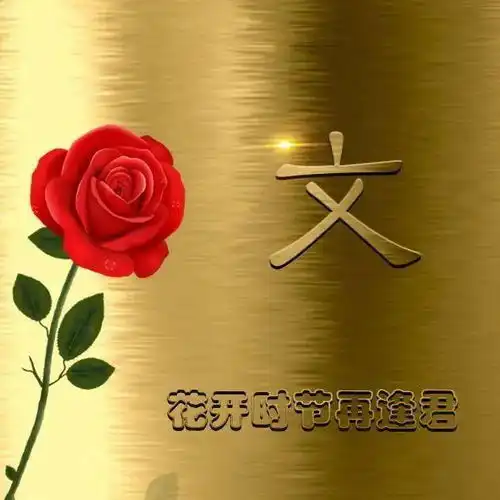 45张微信头像写上爱人姓氏,爱情像花儿一样绽放