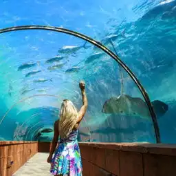 美女子辞高薪工作成职业旅行达人