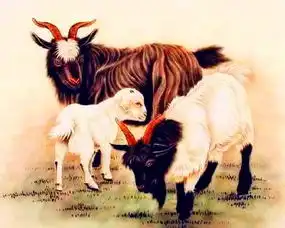 5天后金运萦绕,财运旺有福,头有幸运光环的生肖