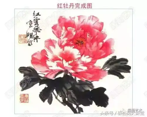 牡丹九大色系特点与画法