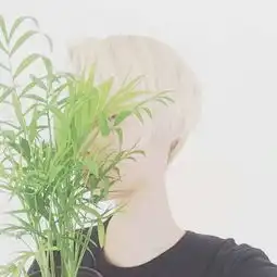 什么情侣头像好看而且别人也不会用