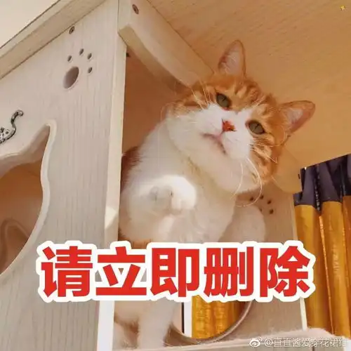 淘宝聊天记录曝光哈哈哈哈哈哈,比延禧攻略还精彩