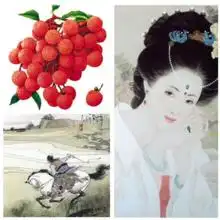 杨贵妃支离破碎的一生,尽显盛唐的雍容华贵