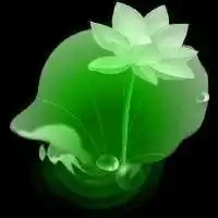 微信头像荷花女孩生肖