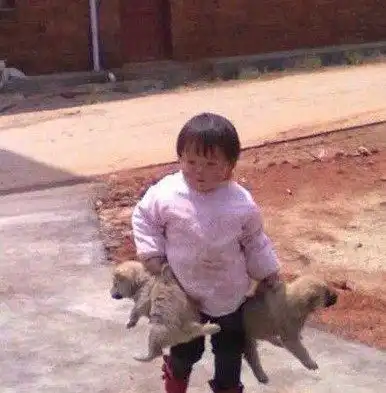 女神与女汉子的差异,中枪没