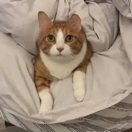 100张男女微信头像