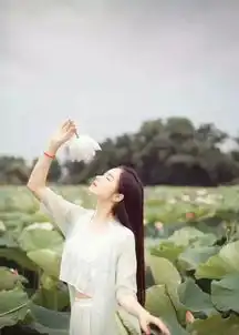 性格太软,总是受另一半欺负的三大生肖女