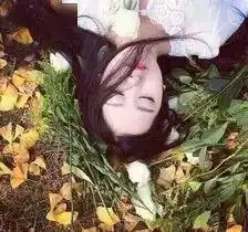 十二星座爱情纯度有多高