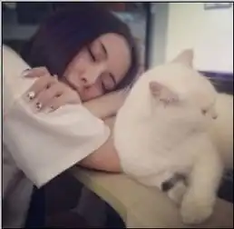 这种图片效果怎么做