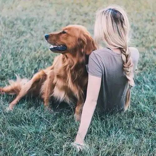 爱吃橘子的注意了,学会这一招,保证你挑的都是甜橘子