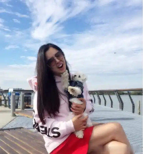 明星美照,图一女神许晴,编发造型气质优雅迷人