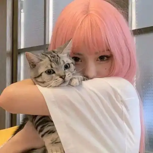 头像但遇良人,共度余生