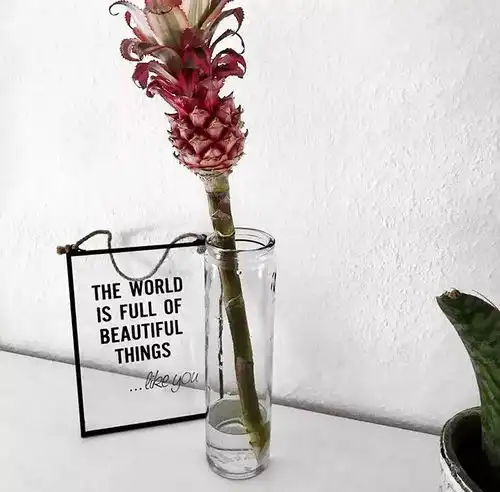 自带网红属性的花,炸裂你的少女心