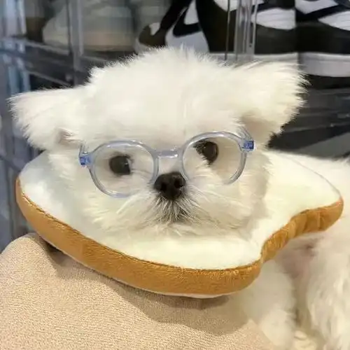 适合女生长期不换的微信头像