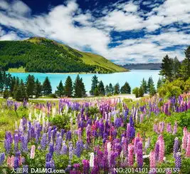 蓝天图片唯美女生头像南湖公园