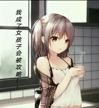 我成了女孩子会被攻略