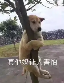 抖音美女找弟弟,无数人被骗大学生都深陷其中