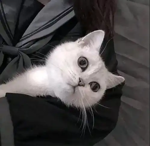 头像2021超好看的高清男生女生头像大全