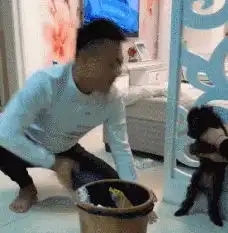 搞笑gif趣图有这样的闺蜜真好,不然就惨了