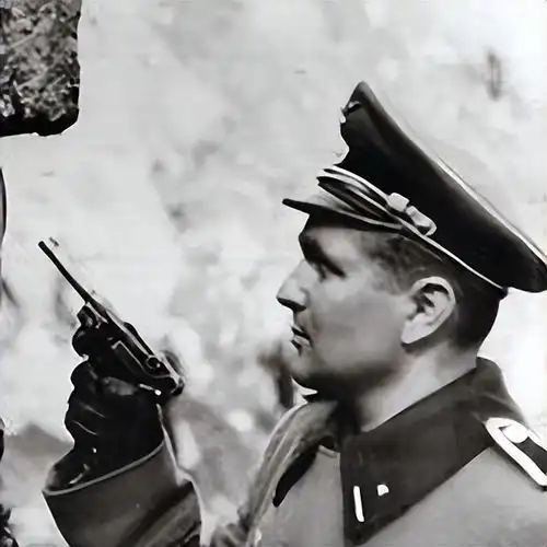 二战德国武装党卫军军衔标志介绍